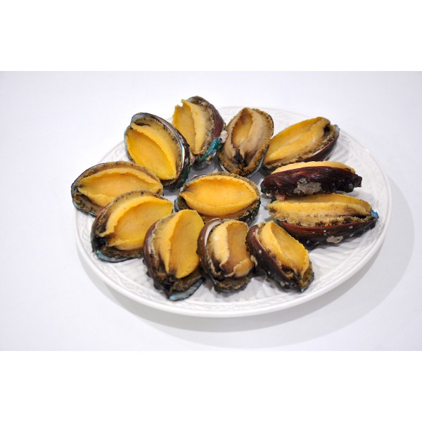 Frozen Abalone with Shell (12pcs)